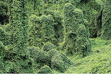 《逃离疯狂帝国》4月Steam抢测 团队肉鸽地牢探索